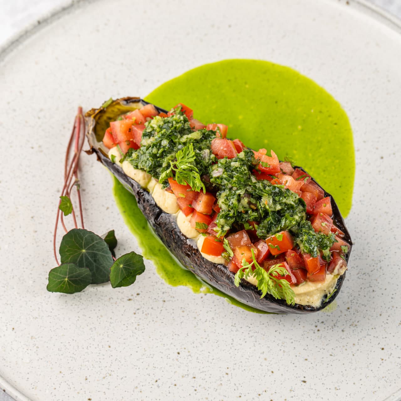 Запеченный баклажан с хумусом, томатами конкасе и соусом чимичури